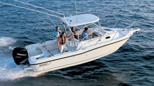 Boston Whaler 235 Conquest