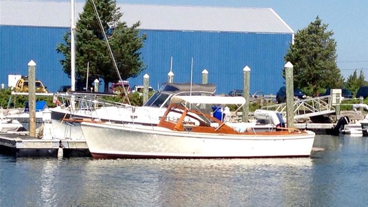 Dyer 29 bass boat