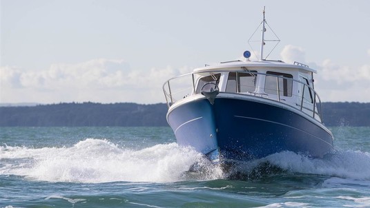 Jersey 30 elanco