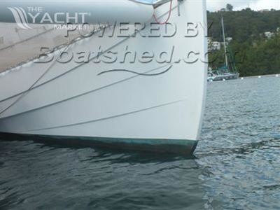 Alexander verheus 50