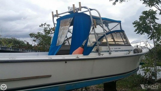 Shamrock 260 le cuddy cabin