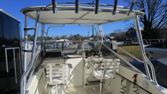 Sea Ray sceptre 23