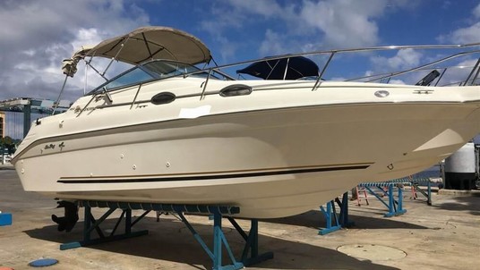 Sea ray 250 sundancer