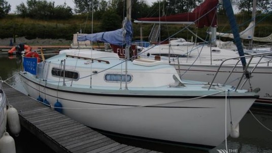 Thames marine snapdragon 24