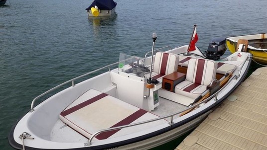 Bonwitco 385 with steering console