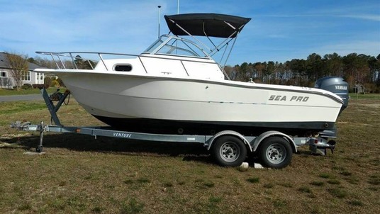 Sea Ray pro 21 walkaround