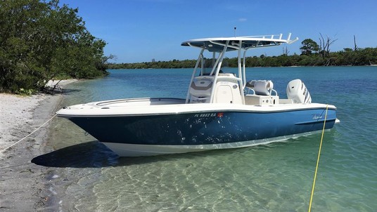 Pioneer 222 sport fish