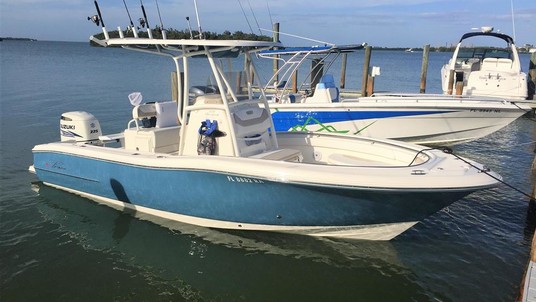 Pioneer 222 sport fish