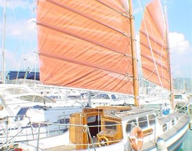 Colin archer goletta 2 alberi