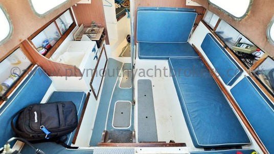 Westerly Marine tiger