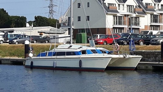 Prout snowgoose 37