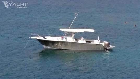 Grady white 306 bimini cc