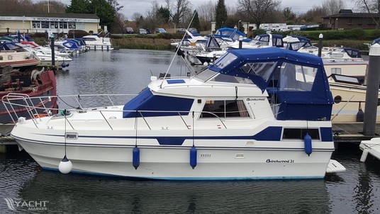 Birchwood 31 commodore