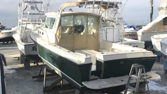 Albin Marine 28 te