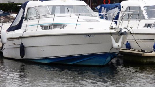 Hardy hardy seawings 305