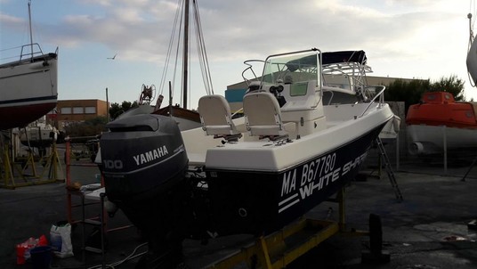 Kelt white shark 175