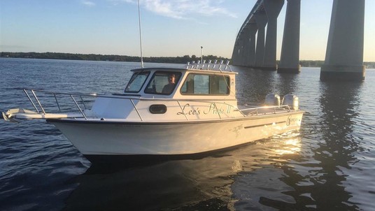 C-hawk 25 sport cabin