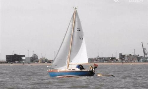 Samphire samphire 26