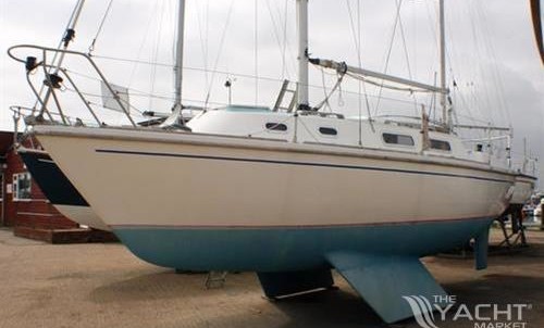 Westerly Marine griffon