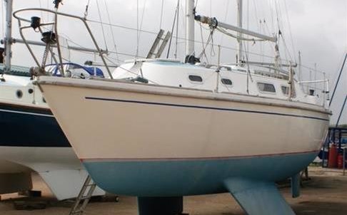 Westerly Marine griffon