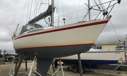 Nicholson nicholson 345