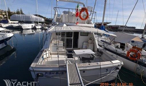 Sea ray boats 430 convertible