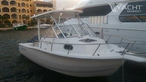 Sea Ray pro 220 walkaround