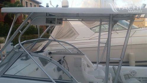 Sea Ray pro 220 walkaround