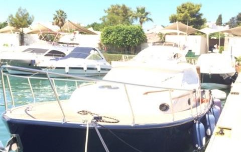 Custom made lobster 12m