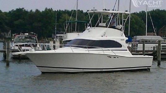 Luhrs 350 tournement