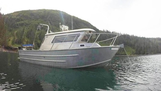 Sea Ray wolf 27