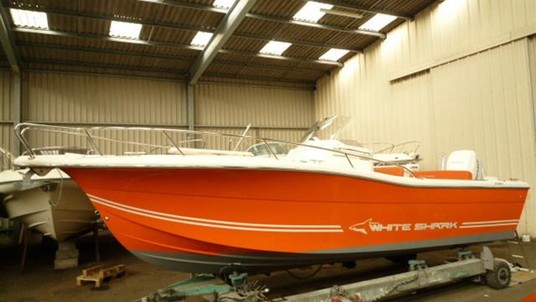 Kelt white shark 246