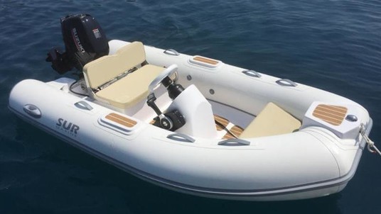 Suzuki st290 + 20hptender deutschland