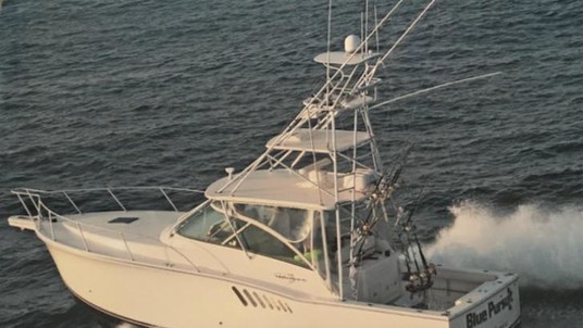 Albemarle 360 express