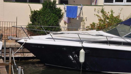 Sea ray 300 da