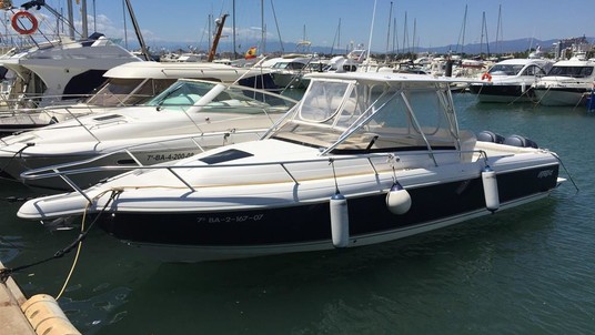 Intrepid 310 walkaround