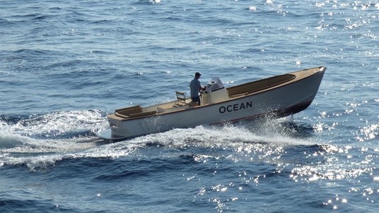 Rapsody tender - new