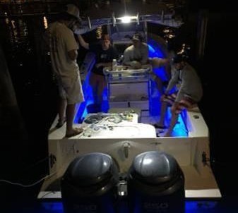 Contender 27 tournament