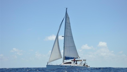 Robertson leopard 42