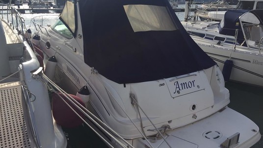 Searay sundancer 315