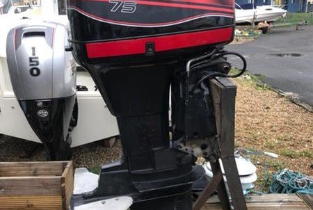 Mercury 75hp elpto