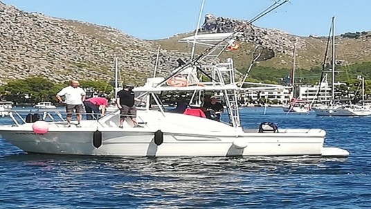 PURSUIT OFFSHORE 3000