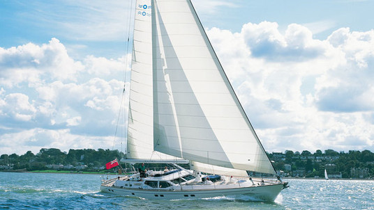 Oyster Royal Leopard