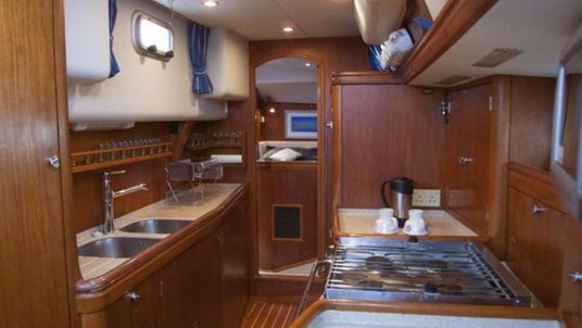 Oyster Royal Leopard