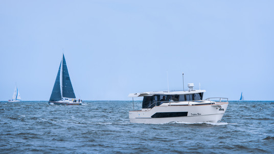 Delphia BluEscape 1200