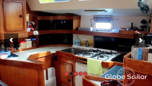 Alliaura Marine Feeling 446