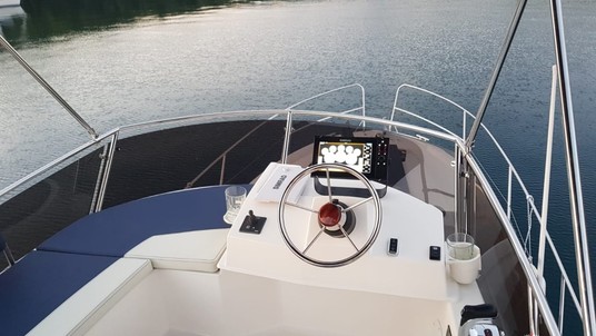 Delphia Platinium 989 Fly