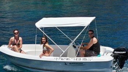 Quicksilver 410 Fish