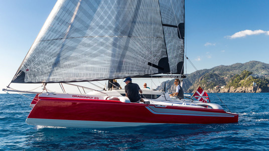 Dragonfly Dragonfly 25