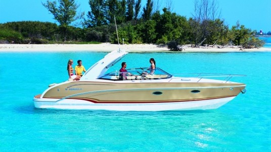 Formula 310 Sun Sport